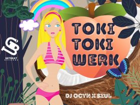 Terinspirasi Whisnu Santika, DJ Ocyn Rilis Lagu Toki Toki Werk